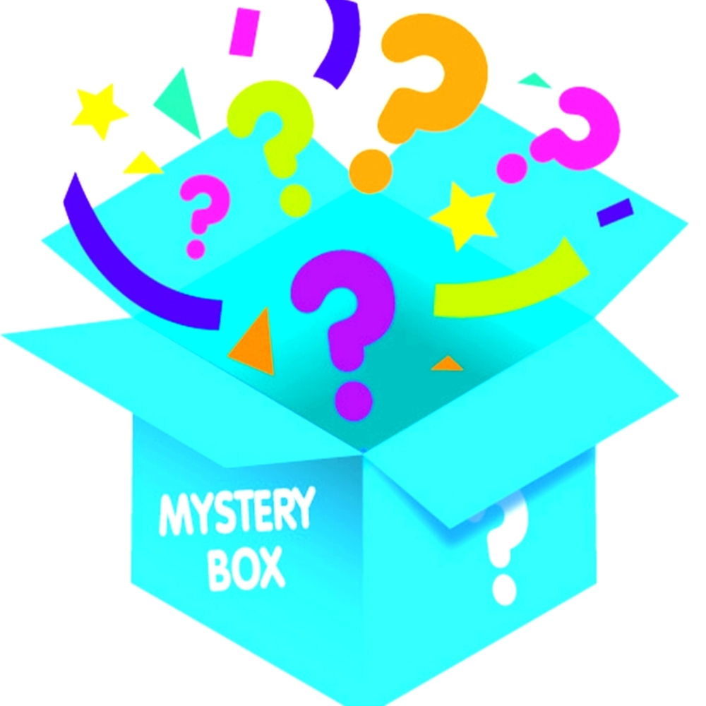 MYSTERY BOX! WOMANS CLOTHES/ ACCESSORIES!